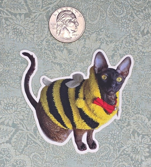 Bee Jiji - Cornish Rex Cat - Vinyl Sticker