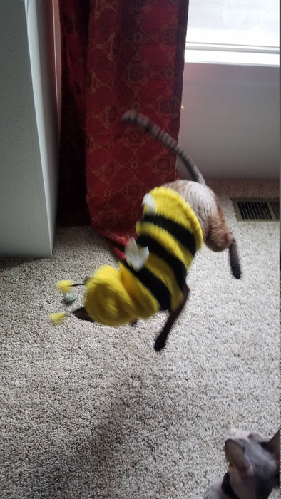 Bumblebee Jiji - Enamel Pin